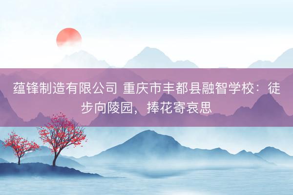 蕴锋制造有限公司 重庆市丰都县融智学校：徒步向陵园，捧花寄哀思