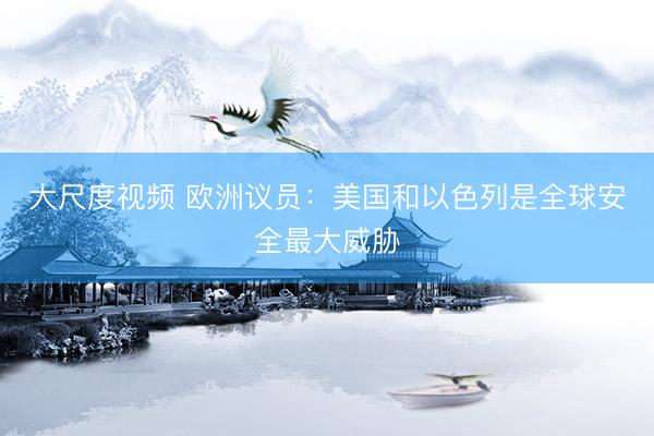 大尺度视频 欧洲议员：美国和以色列是全球安全最大威胁