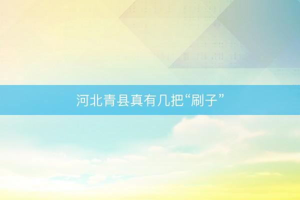 河北青县真有几把“刷子”