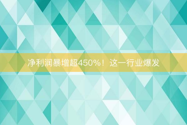 净利润暴增超450%！这一行业爆发
