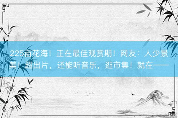 225亩花海！正在最佳观赏期！网友：人少景美！超出片，还能听音乐，逛市集！就在——