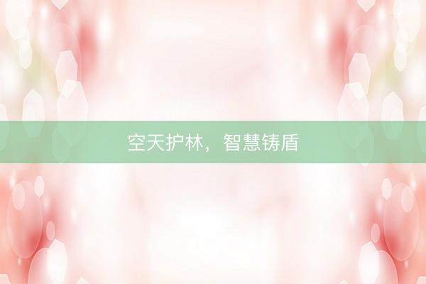 空天护林，智慧铸盾
