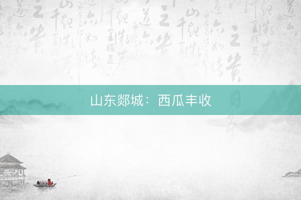山东郯城：西瓜丰收