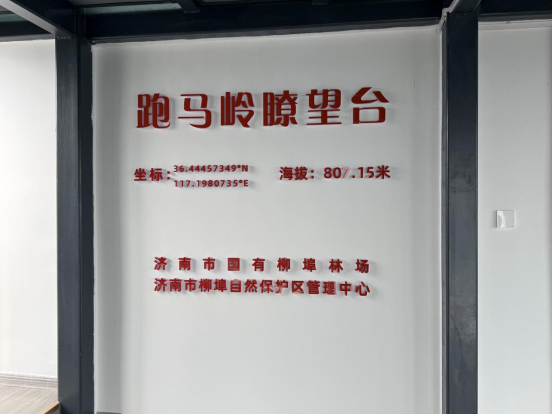 济南市柳埠林场跑马岭瞭望台。人民网李子悦 摄