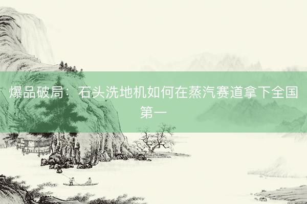 爆品破局：石头洗地机如何在蒸汽赛道拿下全国第一