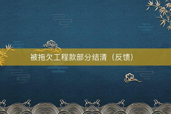 被拖欠工程款部分结清（反馈） 