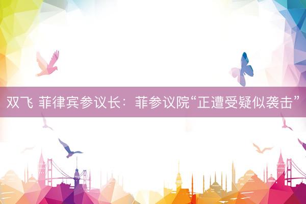 双飞 菲律宾参议长:菲参议院“正遭受疑似袭击”