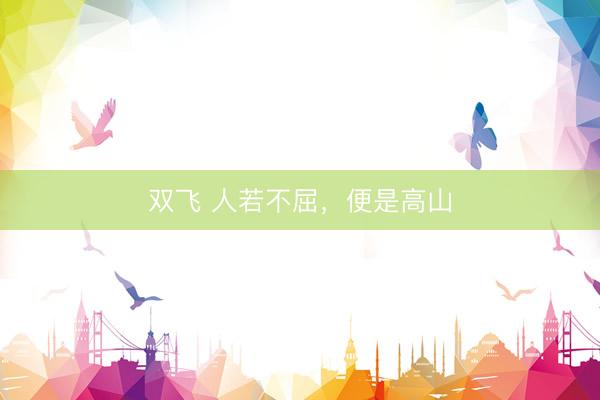 双飞 人若不屈，便是高山