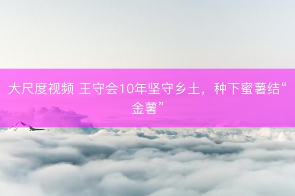 大尺度视频 王守会10年坚守乡土，种下蜜薯结“金薯”