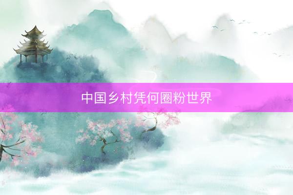 中国乡村凭何圈粉世界
