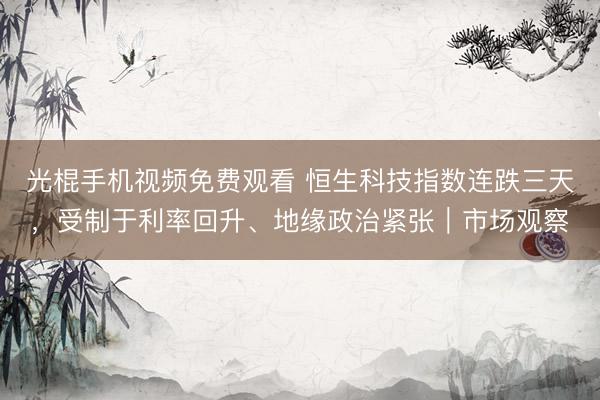 光棍手机视频免费观看 恒生科技指数连跌三天，受制于利率回升、地缘政治紧张｜市场观察