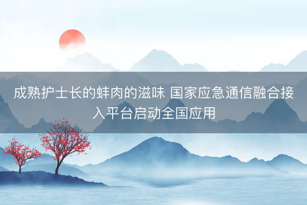 成熟护士长的蚌肉的滋味 国家应急通信融合接入平台启动全国应用