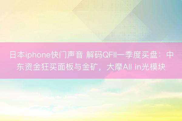 日本iphone快门声音 解码QFII一季度买盘：中东资金狂买面板与金矿，大摩All in光模块