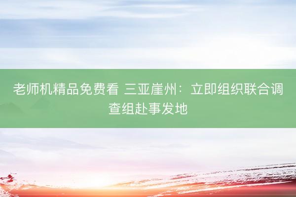 老师机精品免费看 三亚崖州：立即组织联合调查组赴事发地