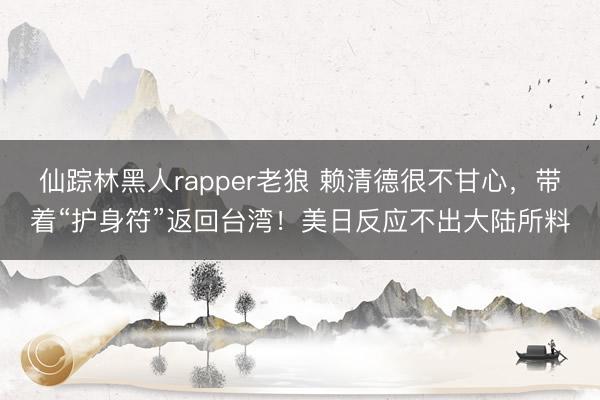 仙踪林黑人rapper老狼 赖清德很不甘心，带着“护身符”返回台湾！美日反应不出大陆所料