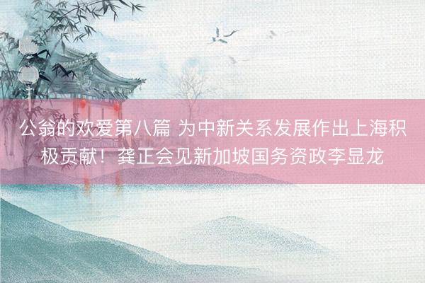 公翁的欢爱第八篇 为中新关系发展作出上海积极贡献！龚正会见新加坡国务资政李显龙