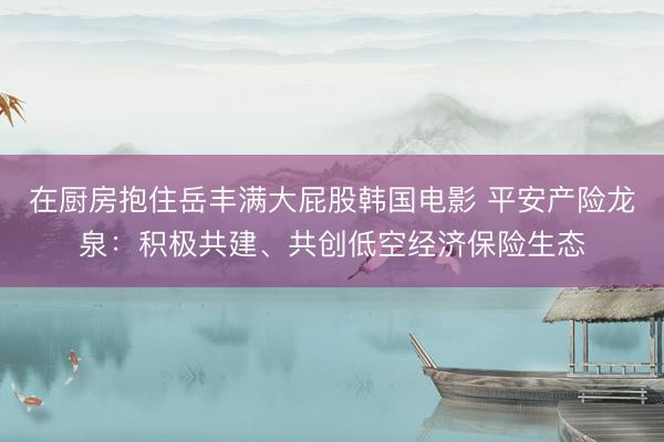 在厨房抱住岳丰满大屁股韩国电影 平安产险龙泉：积极共建、共创低空经济保险生态