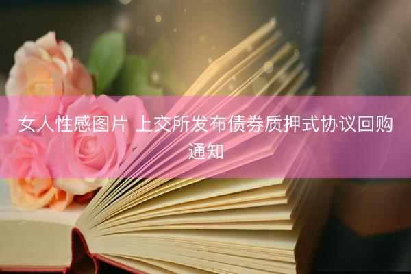 女人性感图片 上交所发布债券质押式协议回购通知