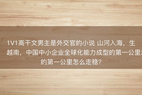 1V1高干文男主是外交官的小说 山河入海，生根正当时： 越南，中国中小企业全球化能力成型的第一公里怎么走稳？
