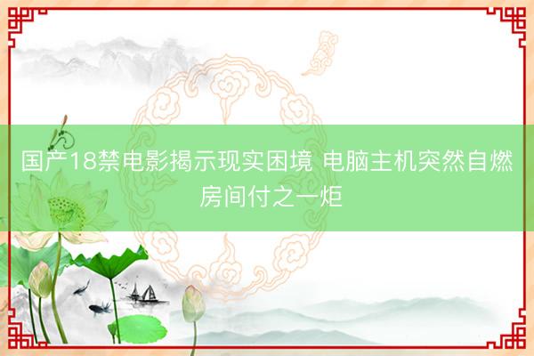 国产18禁电影揭示现实困境 电脑主机突然自燃 房间付之一炬