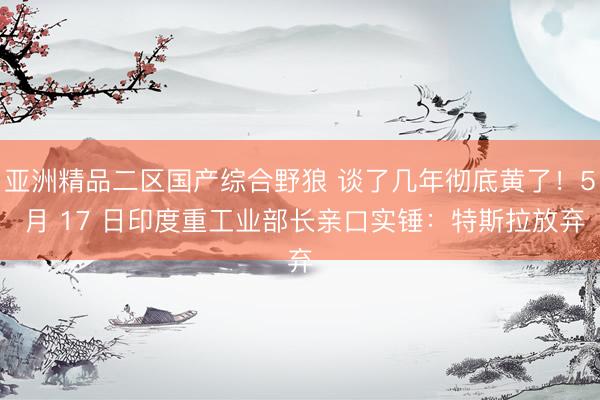 亚洲精品二区国产综合野狼 谈了几年彻底黄了！5 月 17 日印度重工业部长亲口实锤：特斯拉放弃