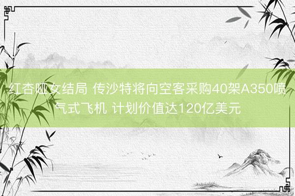 红杏哑女结局 传沙特将向空客采购40架A350喷气式飞机 计划价值达120亿美元