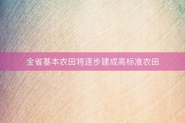 全省基本农田将逐步建成高标准农田