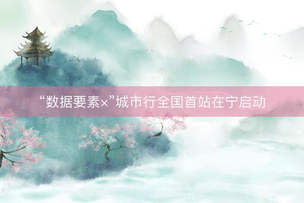 “数据要素×”城市行全国首站在宁启动