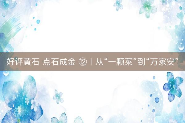 好评黄石 点石成金 ⑫丨从“一颗菜”到“万家安”
