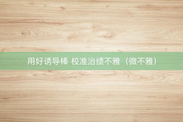 用好诱导棒 校准治绩不雅（微不雅）