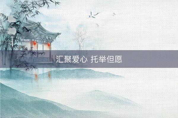 汇聚爱心 托举但愿