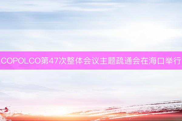 COPOLCO第47次整体会议主题疏通会在海口举行