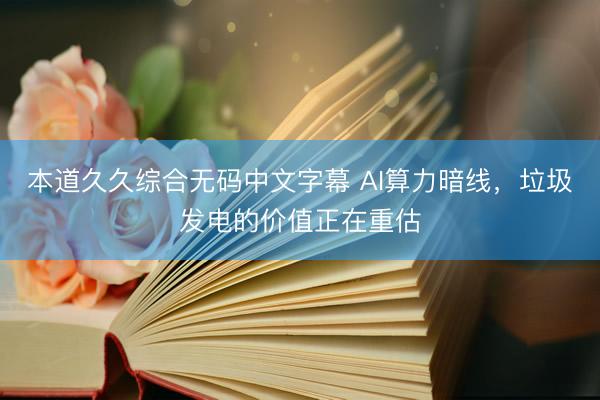 本道久久综合无码中文字幕 AI算力暗线，垃圾发电的价值正在重估