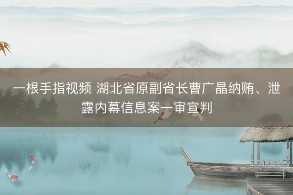 一根手指视频 湖北省原副省长曹广晶纳贿、泄露内幕信息案一审宣判