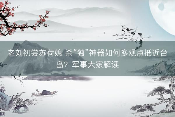 老刘初尝苏荷媳 杀“独”神器如何多观点抵近台岛？军事大家解读