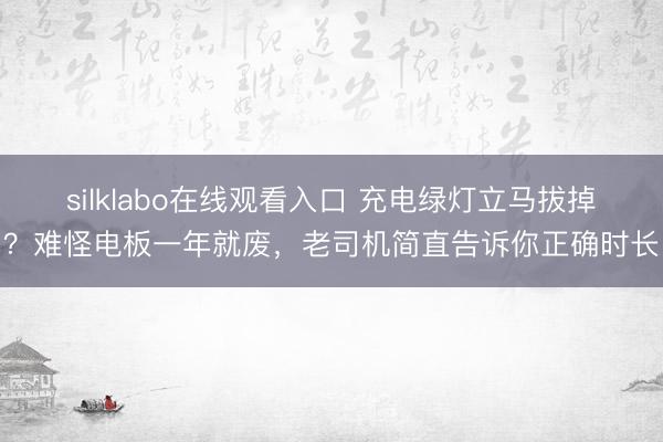silklabo在线观看入口 充电绿灯立马拔掉？难怪电板一年就废，老司机简直告诉你正确时长
