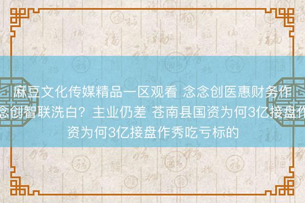 麻豆文化传媒精品一区观看 念念创医惠财务作秀后改名念念创智联洗白？主业仍差 苍南县国资为何3亿接盘作秀吃亏标的