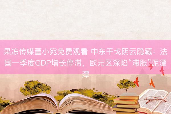 果冻传媒董小宛免费观看 中东干戈阴云隐藏：法国一季度GDP增长停滞，欧元区深陷“滞胀”泥潭
