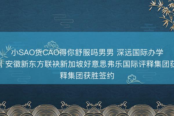 小SAO货CAO得你舒服吗男男 深远国际办学新征途｜安徽新东方联袂新加坡好意思弗乐国际评释集团获胜签约