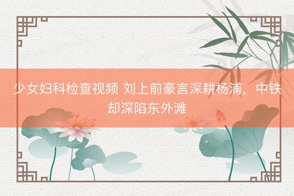 少女妇科检查视频 刘上前豪言深耕杨浦，中铁却深陷东外滩