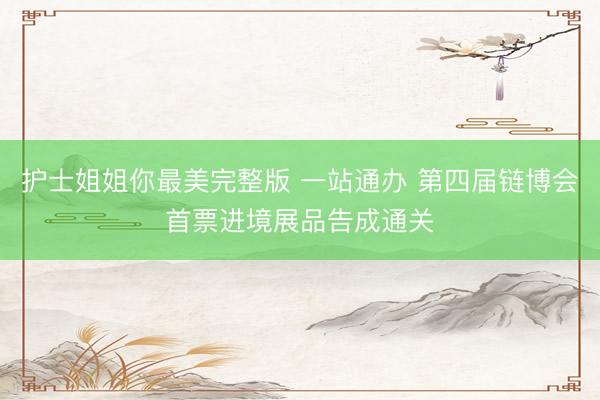 护士姐姐你最美完整版 一站通办 第四届链博会首票进境展品告成通关
