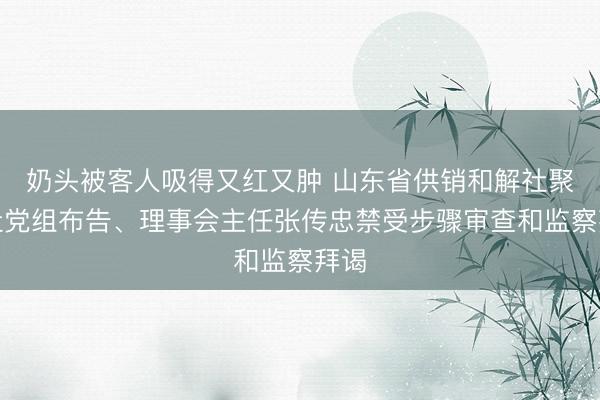 奶头被客人吸得又红又肿 山东省供销和解社聚积社党组布告、理事会主任张传忠禁受步骤审查和监察拜谒