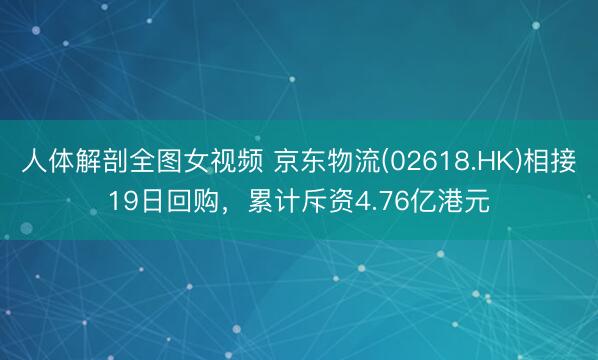 人体解剖全图女视频 京东物流(02618.HK)相接19日回购，累计斥资4.76亿港元
