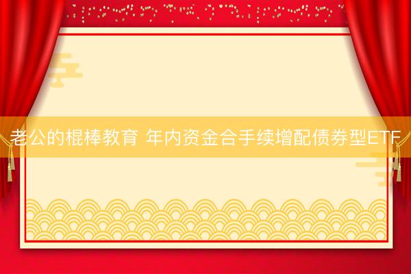 老公的棍棒教育 年内资金合手续增配债券型ETF
