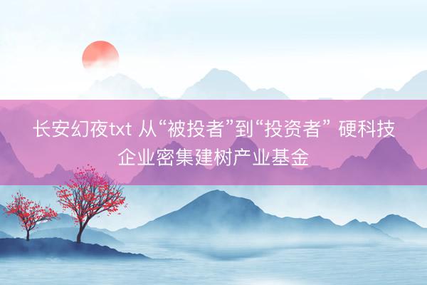 长安幻夜txt 从“被投者”到“投资者” 硬科技企业密集建树产业基金