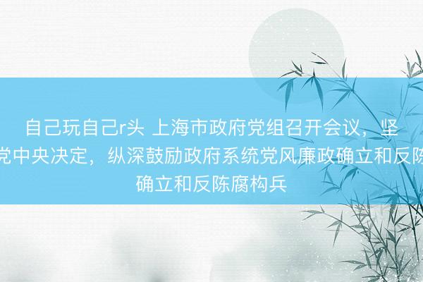 自己玩自己r头 上海市政府党组召开会议，坚决拥护党中央决定，纵深鼓励政府系统党风廉政确立和反陈腐构兵
