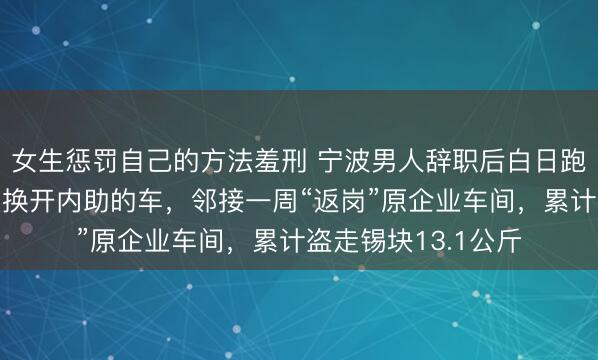 女生惩罚自己的方法羞刑 宁波男人辞职后白日跑网约车，一到深夜换开内助的车，邻接一周“返岗”原企业车间，累计盗走锡块13.1公斤