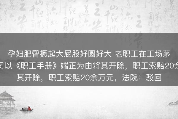 孕妇肥臀撅起大屁股好圆好大 老职工在工场茅厕抽烟被发现，公司以《职工手册》端正为由将其开除，职工索赔20余万元，法院：驳回
