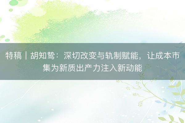 特稿｜胡知鸷：深切改变与轨制赋能，让成本市集为新质出产力注入新动能