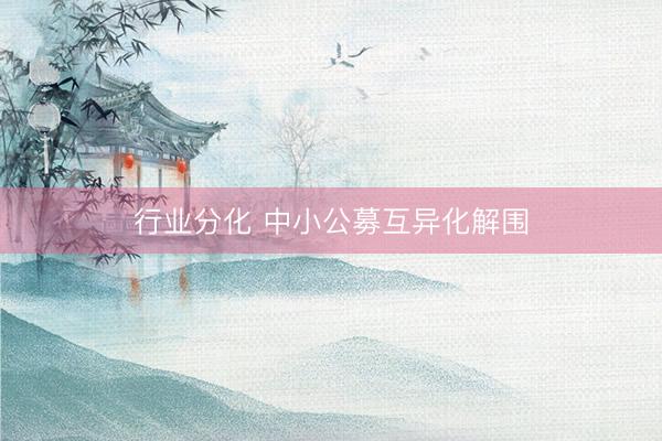 行业分化 中小公募互异化解围